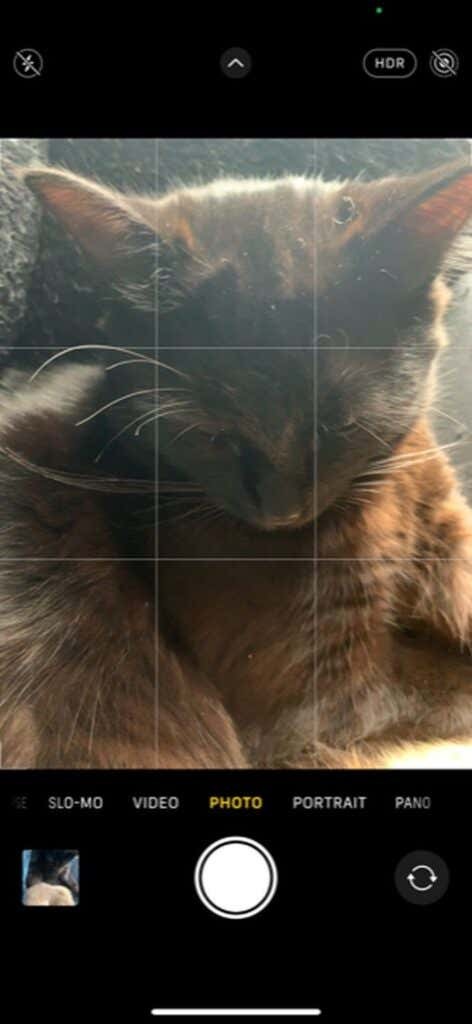 How to Take Professional Photos With Your iPhone