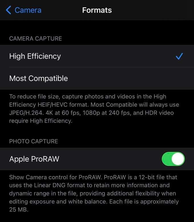 How to Take Professional Photos With Your iPhone