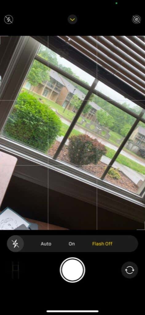 How to Take Professional Photos With Your iPhone