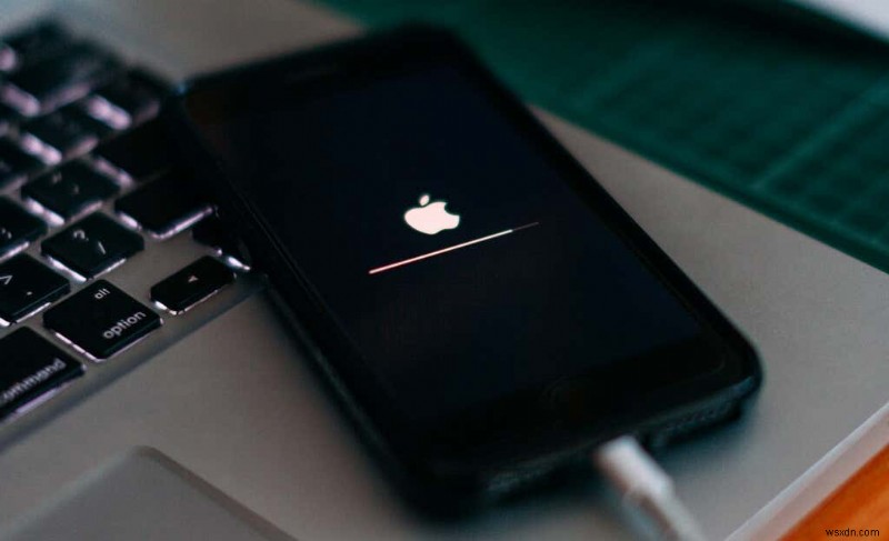 iPhone Cellular Data Not Working? 11 Ways to Fix