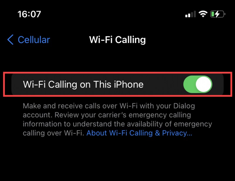 Wi-Fi Calling Not Working on iPhone? Try These Fixes