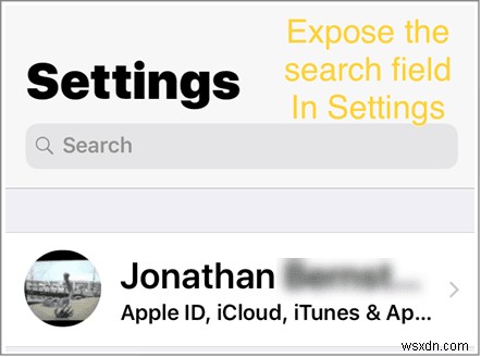 How to Customize the Control Center Panel in iOS
