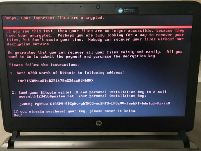 Petya Ransomware Attack: Computers Worldwide Severely Hit