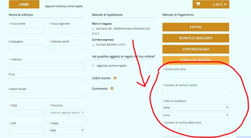 Fake Payment Method Added in Magento Store – Credit Card Info Getting Leaked