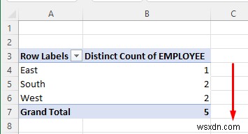 Count Duplicates in Excel Pivot Table (2 Easy Ways)
