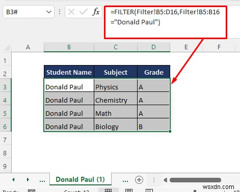 How to Split Excel Sheet into Multiple Sheets Based on Column Value
