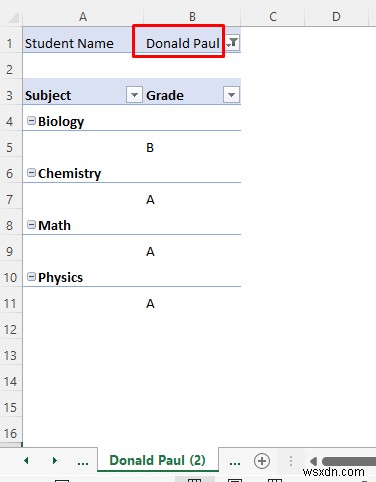 How to Split Excel Sheet into Multiple Sheets Based on Column Value