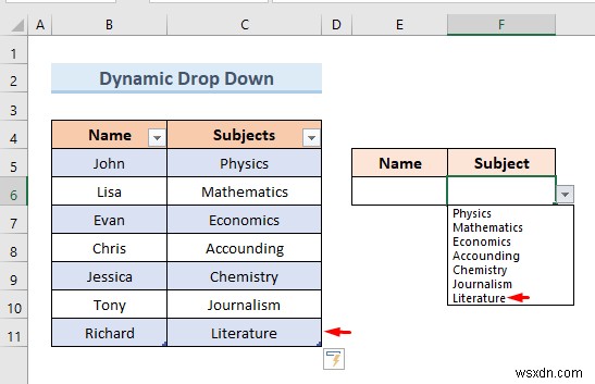 Create Excel Drop Down List from Table (5 Examples)