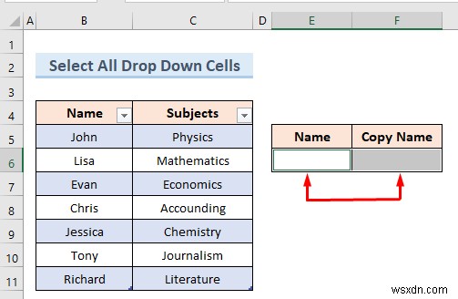 Create Excel Drop Down List from Table (5 Examples)