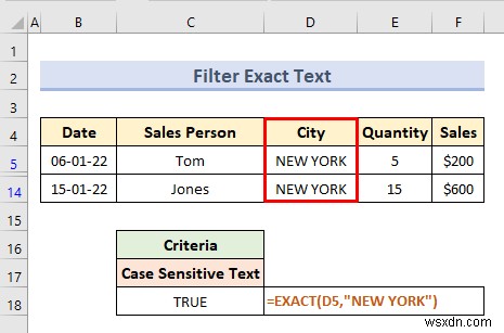 Advanced Filter with Criteria Range in Excel (18 Applications)