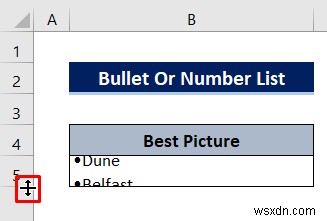 How to Make a List within a Cell in Excel (3 Quick Methods)