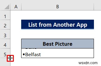 How to Make a List within a Cell in Excel (3 Quick Methods)