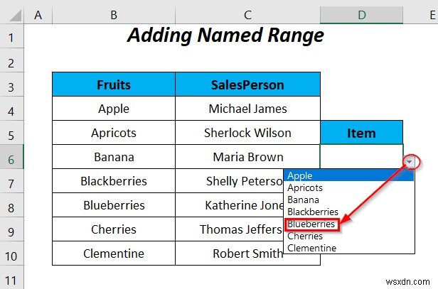 How to Use Named Range for Data Validation List with VBA in Excel