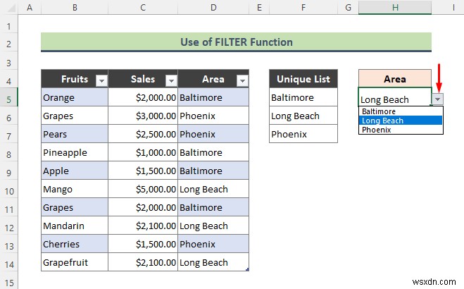 Excel Data Validation Drop Down List with Filter (2 Examples)