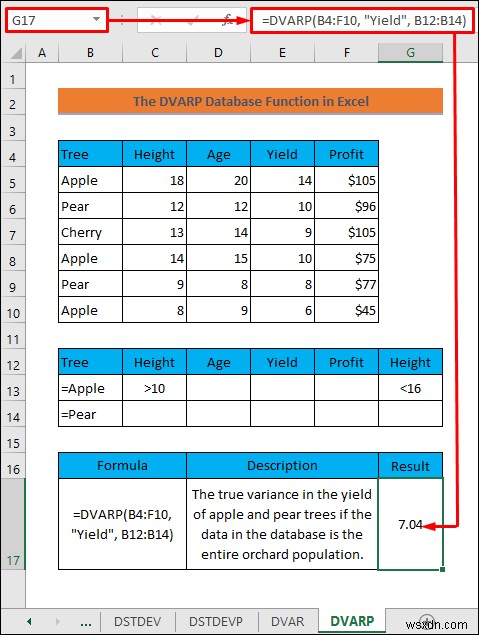 How to Use Database Functions in Excel (With Examples)
