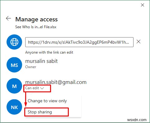 How to See Who Is in a Shared Excel File (With Quick Steps)