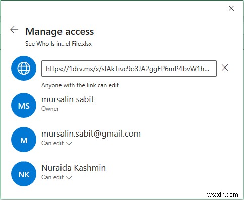 How to See Who Is in a Shared Excel File (With Quick Steps)