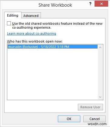 How to See Who Is in a Shared Excel File (With Quick Steps)