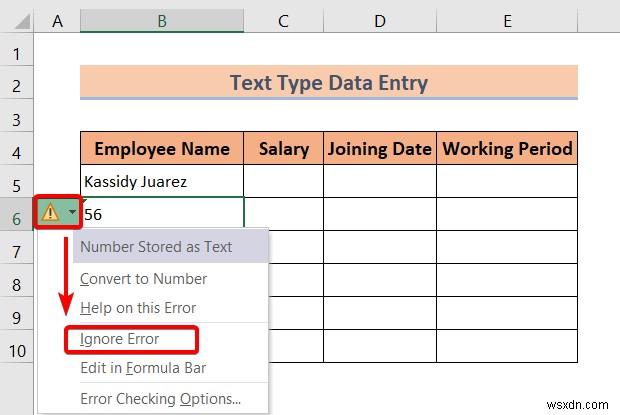 Types of Data Entry in Excel (A Quick Overview)