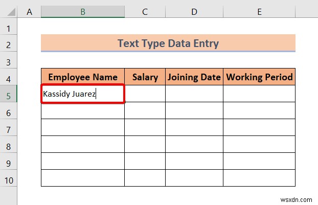 Types of Data Entry in Excel (A Quick Overview)