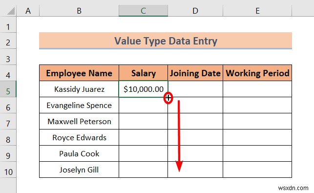 Types of Data Entry in Excel (A Quick Overview)