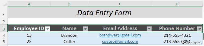 How to Make a Fillable Form in Excel (5 Suitable Examples)