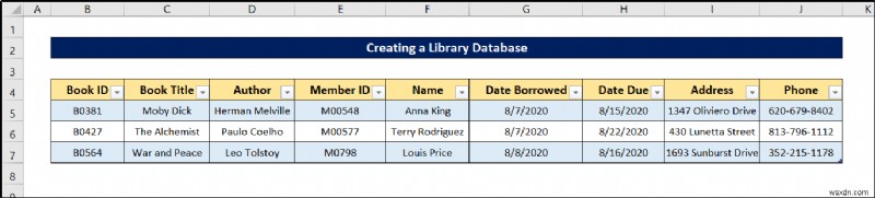 How to Create a Library Database in Excel (with Easy Steps)