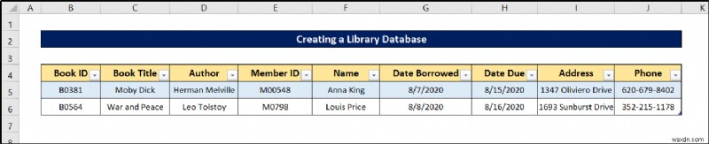 How to Create a Library Database in Excel (with Easy Steps)
