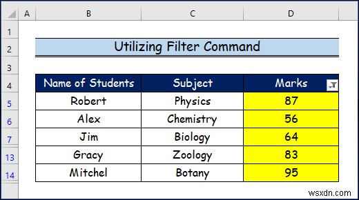 How to Filter by Cell Color in Excel (2 Easy Ways)
