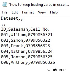 How to Keep Leading Zeros in Excel CSV Programmatically