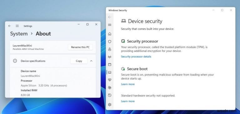 Running Windows 11 on a Mac with Parallels Desktop is great, but some questions remain