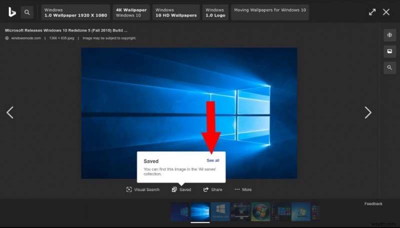 How to create a collection of Bing search results
