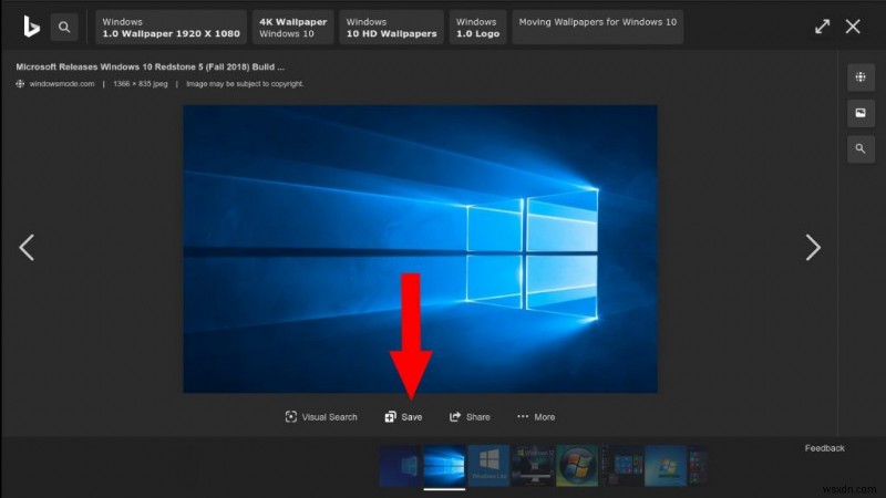 How to create a collection of Bing search results