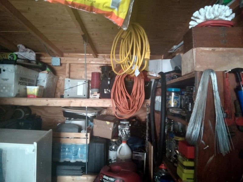 Are the pictures taken with the Surface Duo camera looking a little dull and wrong? Heres how to use Google Photos to fix them