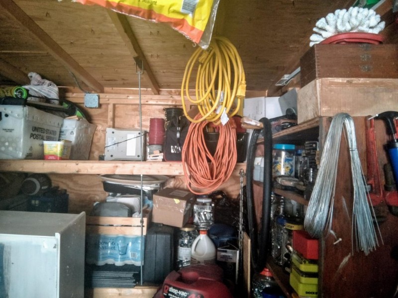 Are the pictures taken with the Surface Duo camera looking a little dull and wrong? Heres how to use Google Photos to fix them