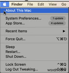 How To Remove Purgeable Space macOS Quickly