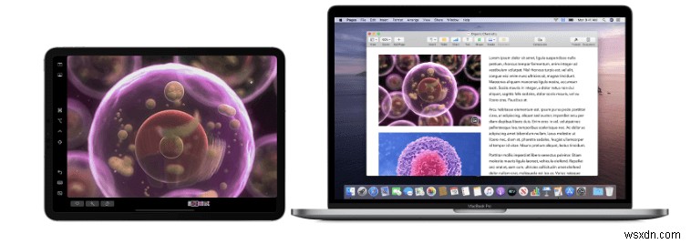 14 Common macOS Catalina Issues And Their Quick Fixes