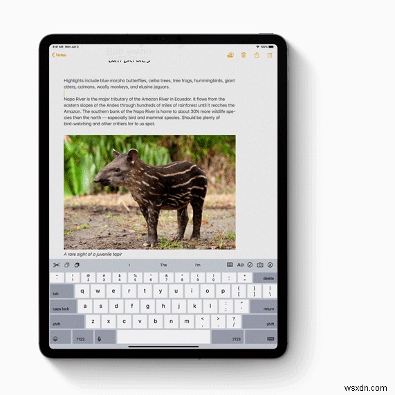 Why Is There A Need For iPadOS?