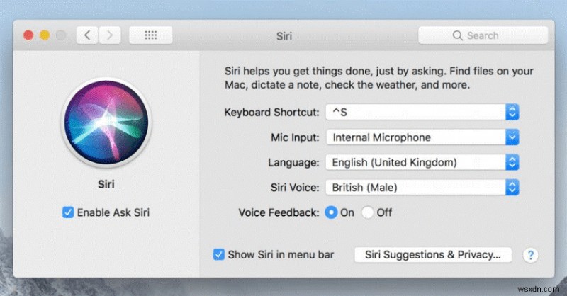 How to Modify Your Voice Feedback for Siri On iOS