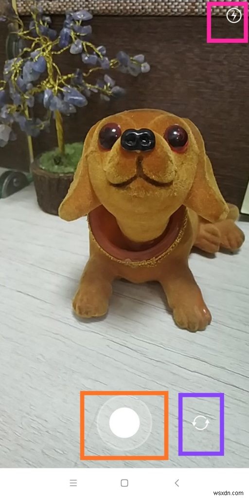 7 Alternatives to Boomerang Video App