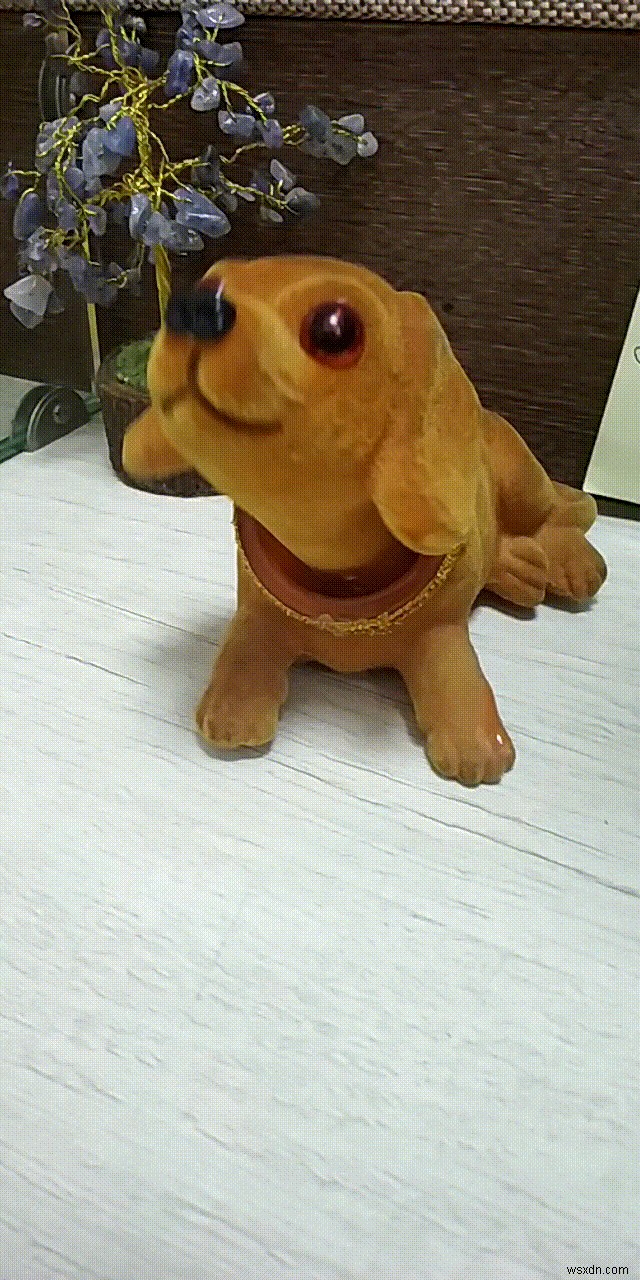 7 Alternatives to Boomerang Video App