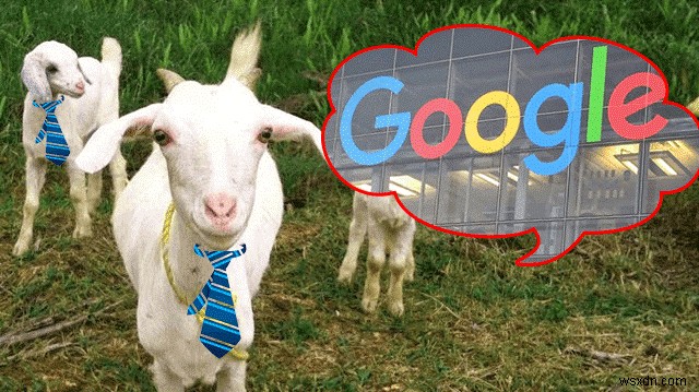 Happy 21st Birthday Google! Know 21 Crazy Facts!