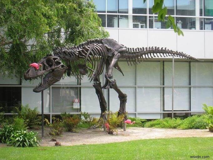 Happy 21st Birthday Google! Know 21 Crazy Facts!