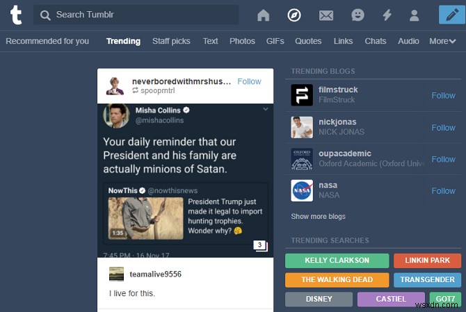 7 Useful Tips and Tricks to Make the Most Out of Tumblr