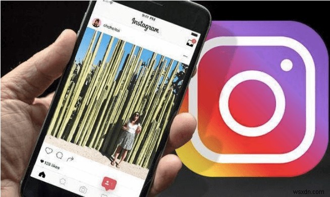 What All You Can Do from Instagram on Web App