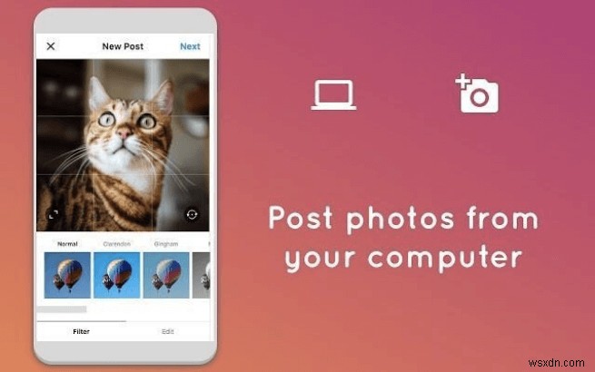 What All You Can Do from Instagram on Web App