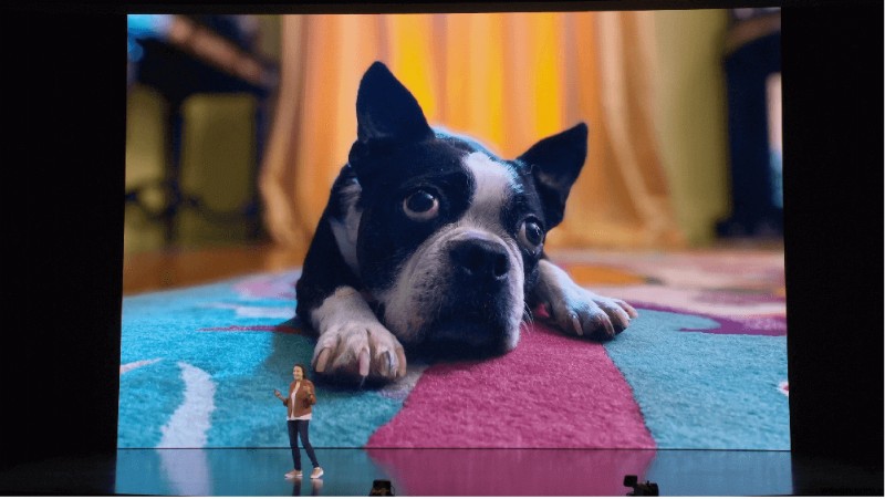 Why Should You Buy iPhone 11, or iPhone 11 Pro?