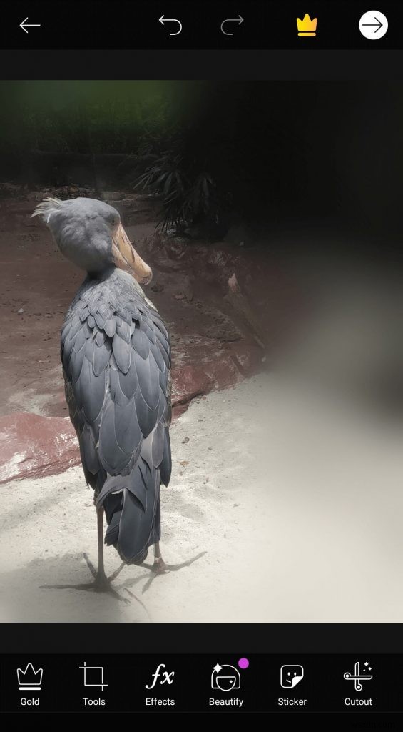 Best Apps To Blur Photo Background On Android And iPhone