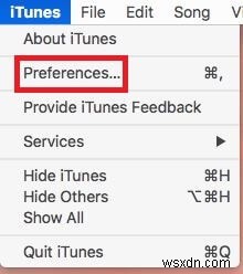 How To Play Video Podcasts In iTunes