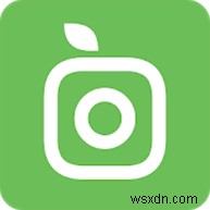 Top 10 Best Plant Identification Apps For Android & iPhone